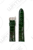 ALLIGATOR GLANS BRITS GROEN